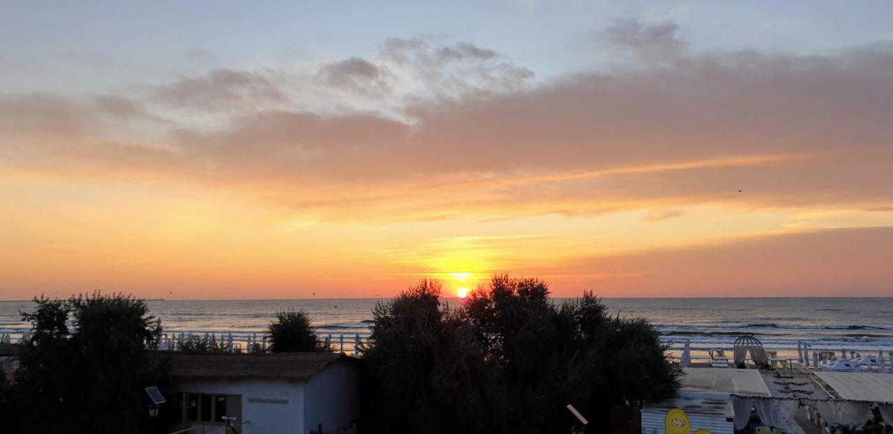 Gasthuis Tecoma Mamaia Năvodari